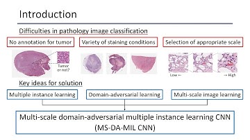 Multi-scale Domain-adversarial Multiple-instance CNN for Cancer Subtype Classification with Unan...