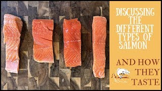 Tasting & Talking About The Different Types of Salmon