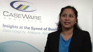 Lehigh Hanson uses IDEA® Server for global audit collaboration.
