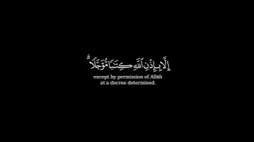 كرومة شاشة سوداء بصوت #عبدالعزيز_الأحمد #سورة_آل_عمران