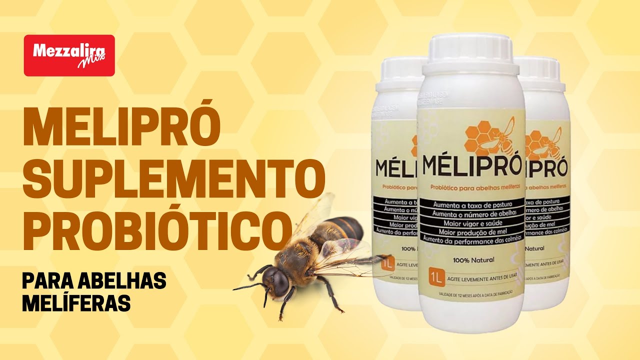 Melero Suplemento Energético Para Abelhas APIS e ASF - 100g