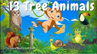 13 Animals live on Trees- Tree animal, who lives on tree - Jungle animal -  Kids Learning E book - #8 - YouTube