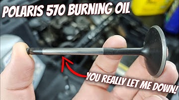 A Polaris 570 is burning oil.  Valve stem seals?  Let