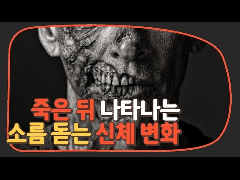 죽은 후 소름 돋는 변화 8가지