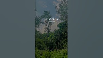 #قرآن #ارح_سمعك #ارح_قلبك #تلاوة_خاشعة #تلاوة_هادئة #قرآن #اكسبلور