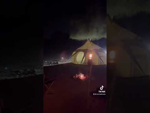 Desert Camping in the UAE (Less than 1 hour from Dubai) 🇦🇪