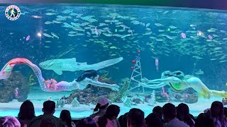 [4k HDR] Mermaid show at Seoul Aqua Planet 63