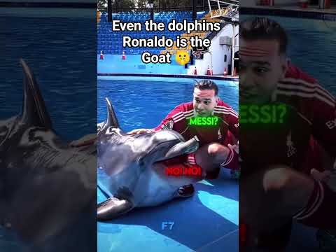 Dolphin Know who is the Goat of Football #shorts #worldcup2026 #ronaldo #footballedit #shortfeeds