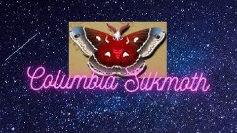 Pompa Moth-Flutter Starlight Part 19