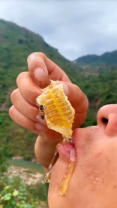Madu asli original multiflora langsung dientup tawon, terlaris