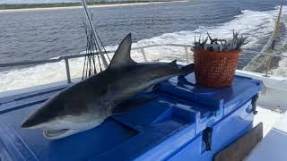 Explore Deep Sea & Inshore Fishing with North Myrtle Beach Charters