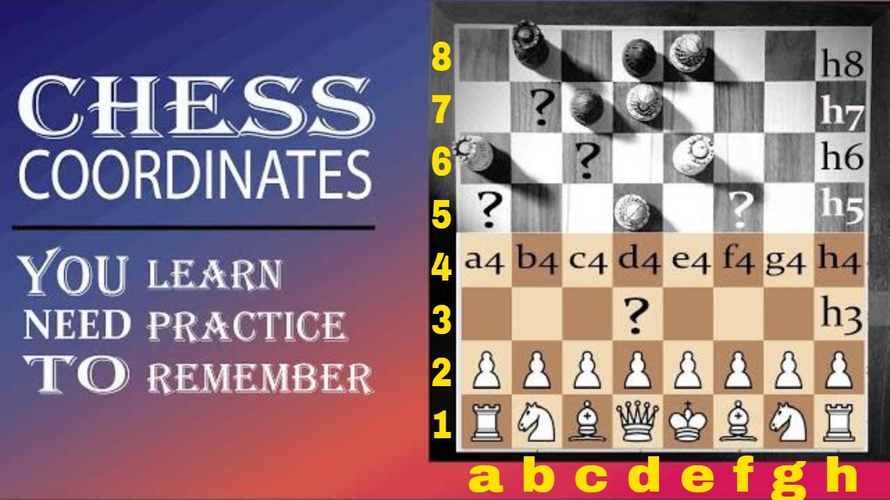 Can you turn on coordinates? - Chess Forums 