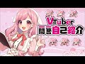 【自己紹介】Vtuber 一問一答自己紹介【サキイカスルメ/新人Vtuber】