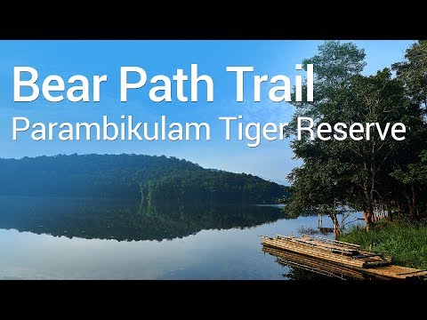 Trek through vast teak plantations, Bear Path Trail