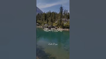 الشيخ علي جابر #تلاوة_خاشعة #علي_جابر #لايك