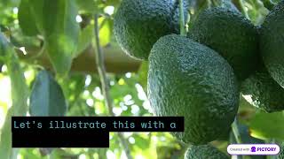 Zoella farm #fruit #farming