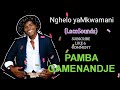 Pamba gamenandje official audio