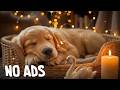 24-Hours of Healing Dog Music 🐶💖Calming Sounds for Dogs🎵💖Overnight Sleep Aid💖No Ads