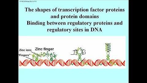 224 Transcription Factor Domains and Shapes