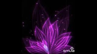 Pantang Menyerah (Boomerang)