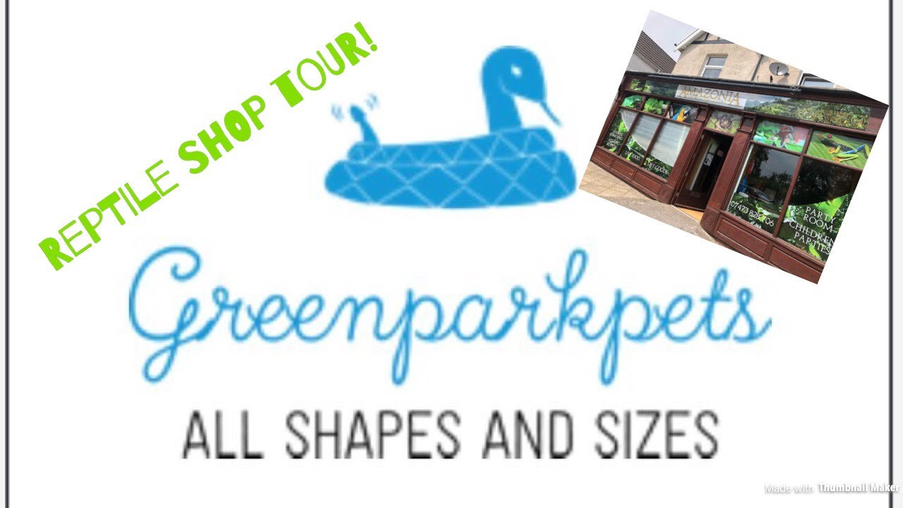 Reptile Shop Tour May 2018! UK YouTube