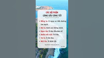 Các bộ phận,càng xấu,càng tốt#shorts #short #shortvideo #shortsvideo #shots #shortsfeed #share