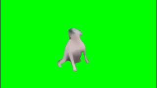green screen anjing joget-joget
