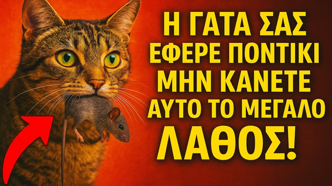 Η γάτα σας έφερε ποντίκι; ΜΗΝ κάνετε αυτό το μεγάλο λάθος!