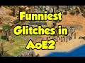 Funniest Glitches in Age of Empires 2