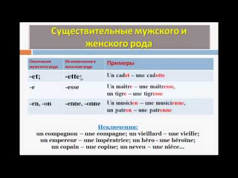 Уроки французского #29: Род и число существительного