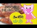 福岡で大人気の焼き豚足 みのう豚足ができるまでを2分で紹介！　【山歩】