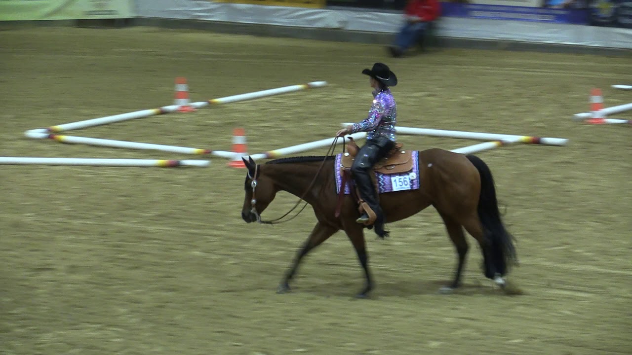 German Open 2019 Merrit Otremba Gold Junior Trail