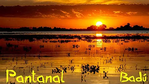 Qual é a flora do bioma Pantanal?