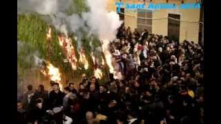 Sant Antoni Abad 2014 (Canals)