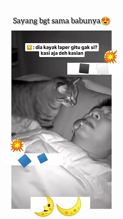 tapi jgn gitu juga kali cingg😭😭😭😭 #semogafyp #masukberanda