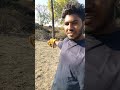mini vlog #minivlog #shorts