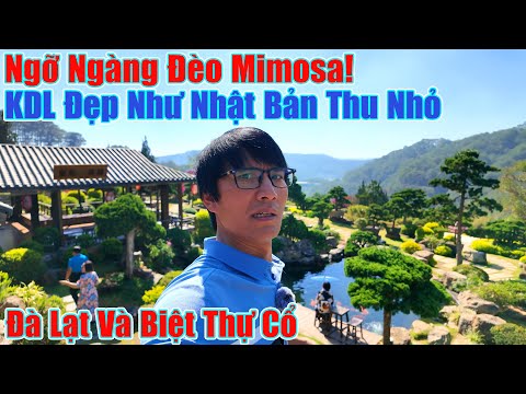 Ngỡ Ngàng Đèo Mimosa, Đà Lạt Khu Du Lịch Đẹp Tựa Nhật Bản 2023 mới nhất