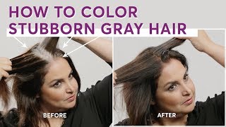 How to Color Stubborn Gray Hair - thptnganamst.edu.vn