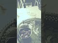 ما أروع قطعة السكر ما أروع قطعة السكر