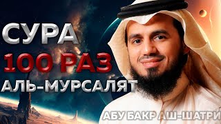 Сура Аль-Мурсалят 100 РАЗ - Абу Бакр Аш-Шатри