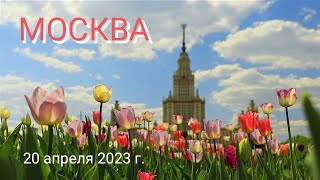 видео: КОТоПрогулка по Москве: Воробьёвы горы, Парк Горького, Пушкин, Рахманинов и Любовь, 20 апреля 2023г. картинка: КОТоПрогулка по Москве: Воробьёвы горы, Парк Горького, Пушкин, Рахманинов и Любовь, 20 апреля 2023г.