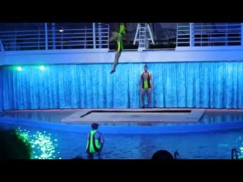 Video: Teatri Aqua Oasis of the Seas