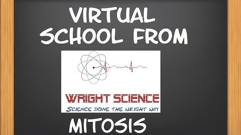 B2.1.4  - Mitosis - Y9 Combined