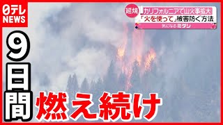 【山火事】４万ヘクタール焼失…延焼防ぐ”バック・ファイア”とは？