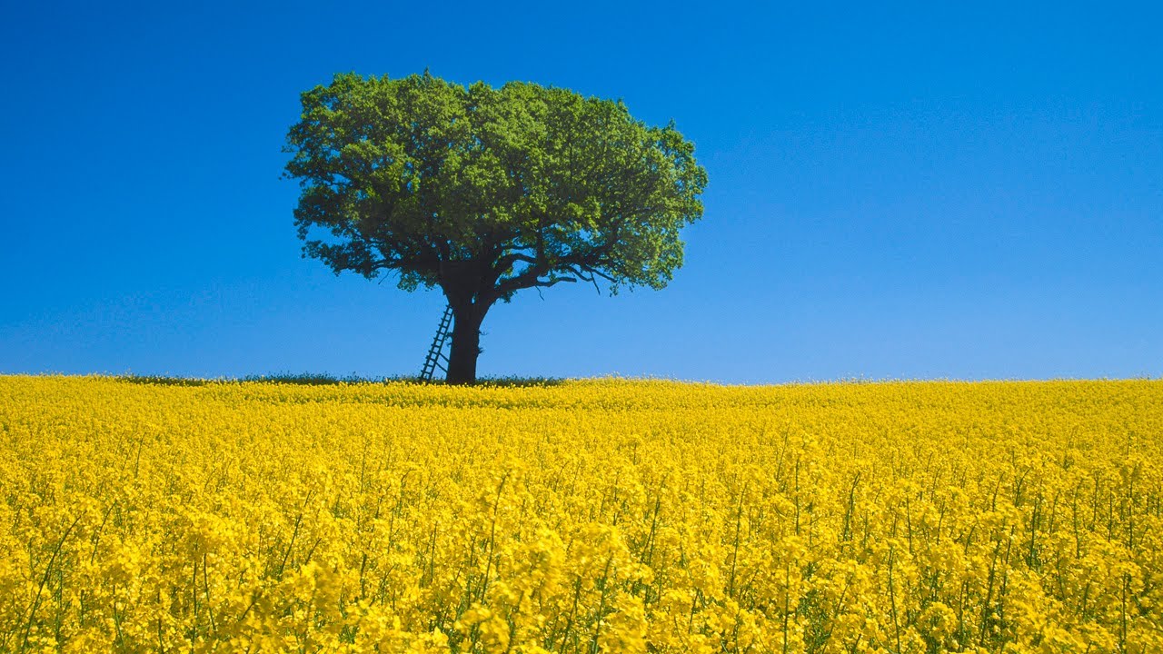 Norddeutsche Landschaften: DIE HOLSTEINISCHE SCHWEIZ