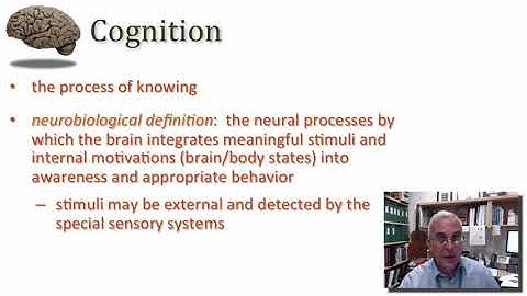 Overview of the Associational Cortex part 1