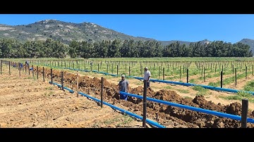 Bergrivier Besproeiing Installasie - Schooneoord 2021