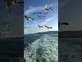 هتعمل ايه ...شيرين عبدالوهاب