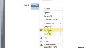 Lesson  4 Cut Copy Past Microsoft Office Word 2007 2010 Free Tutorial Urdu Hindi Video Training tale