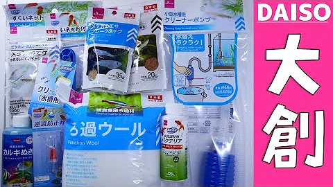 ６０cmの水槽のレイアウト ダイソー